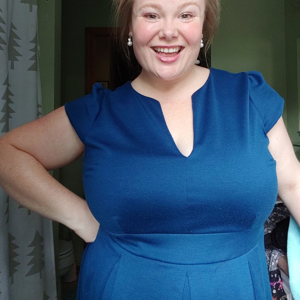 Meet Me At the Punch Bowl A-Line Dress - 2X